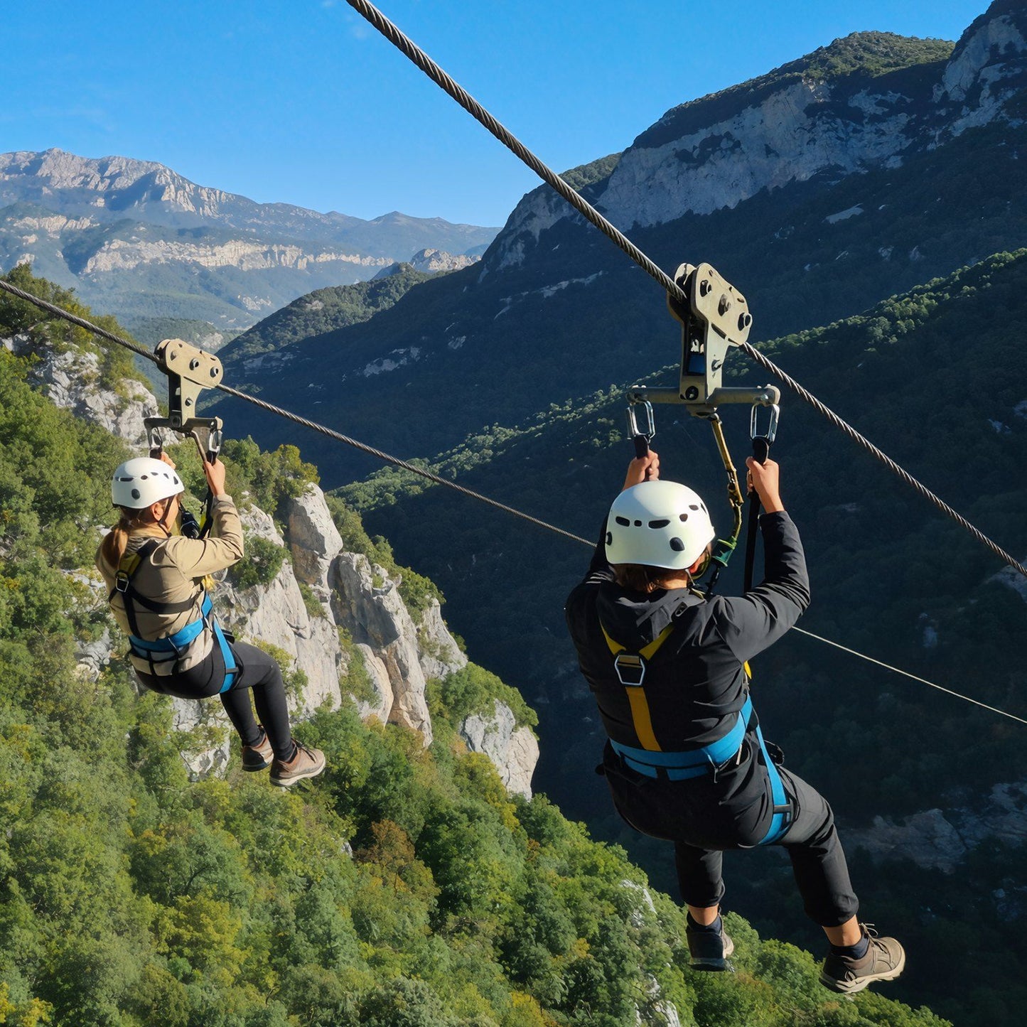 512281411