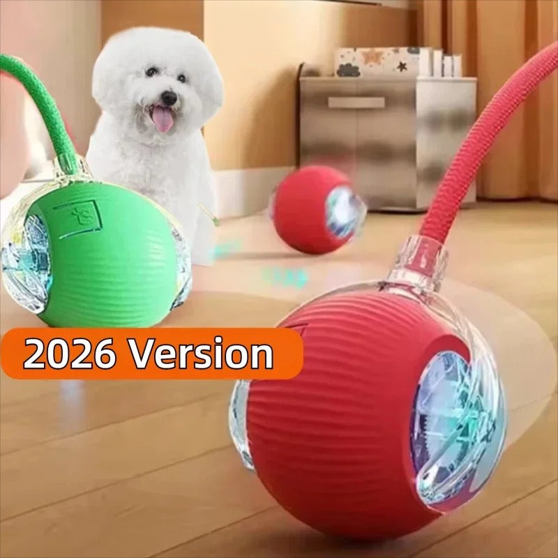 Dog Interactive Ball Toy