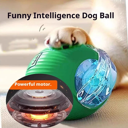 Dog Interactive Ball Toy