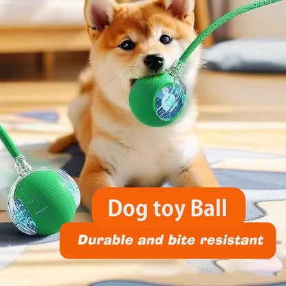 Dog Interactive Ball Toy