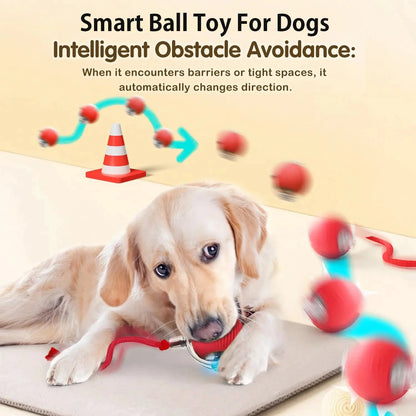 Dog Interactive Ball Toy