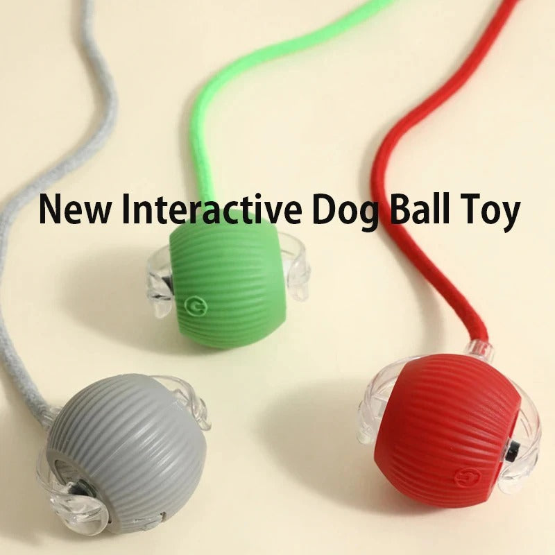 Dog Interactive Ball Toy